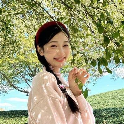 侦探佳安：锋利的刀刃