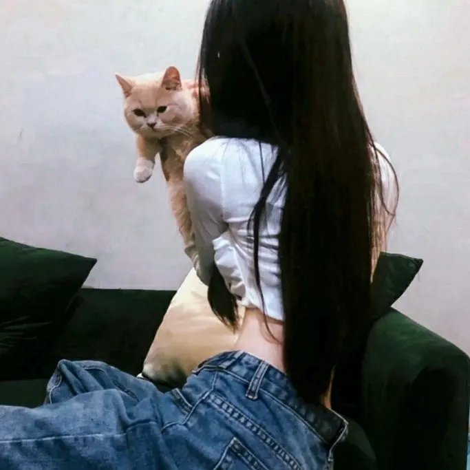 爱的着陆 第二季